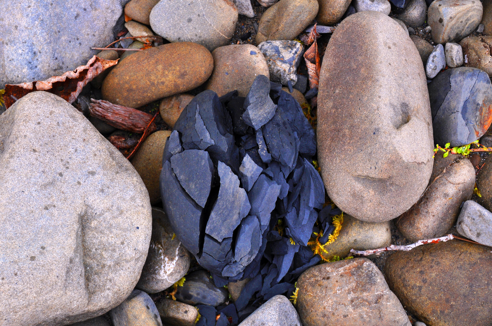 Umwandlung von CO2 in Stein